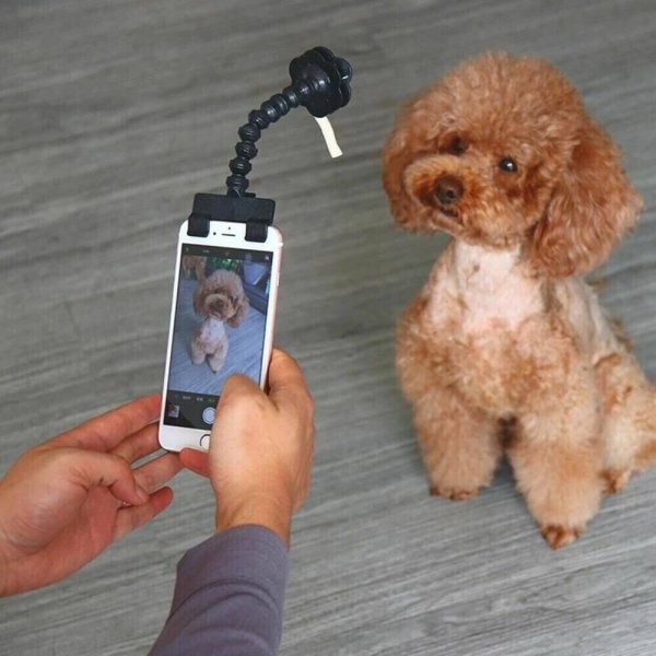 Lovely Pet Selfie Stick